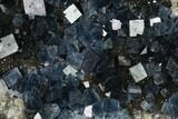 Gorgeous, Blue Cubic Fluorite on Smoky Quartz - China #163167-1
